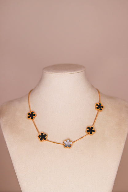 COLLIER LOUISA