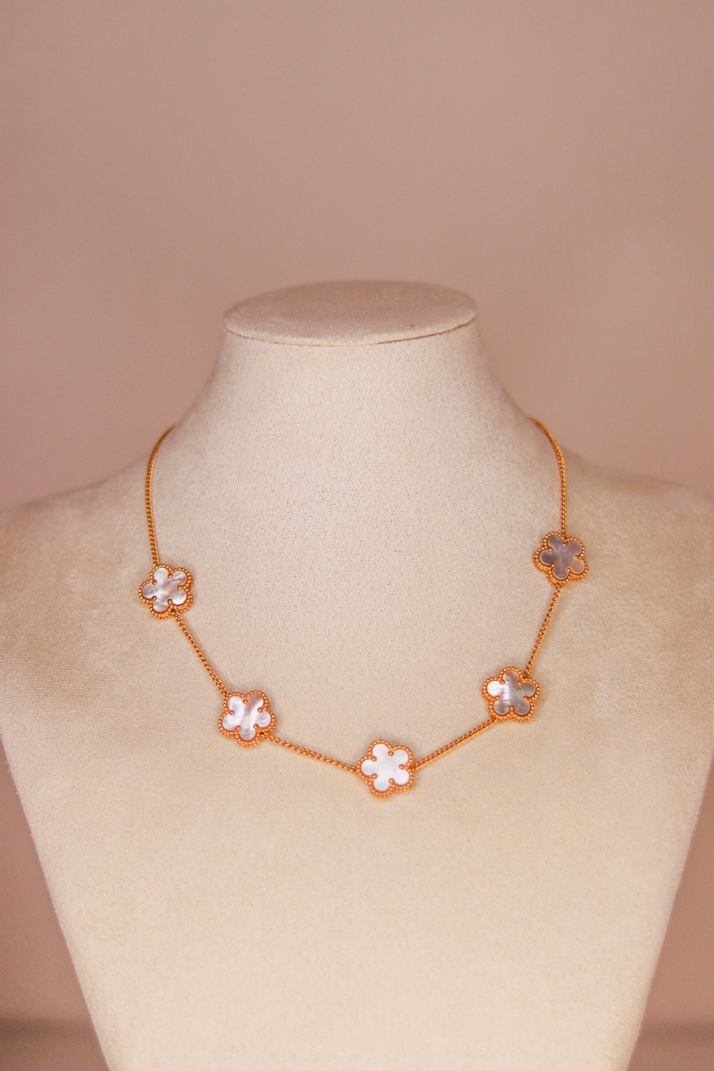 COLLIER LOUISA